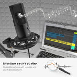 Natty Records Store Condenser Microphone Studio Condenser USB Computer Microphone Kit