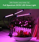 Natty Records Store LED Grow Light with Timer