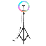 Natty Records Store Ring Light Rainbow Ring Light 10" Dimmable for Short Video, YouTube Live