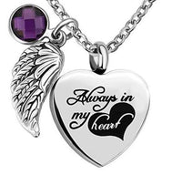 Natty Records Store Urns February Heart of Hearts Angel Wing Birthstone Urn Necklace